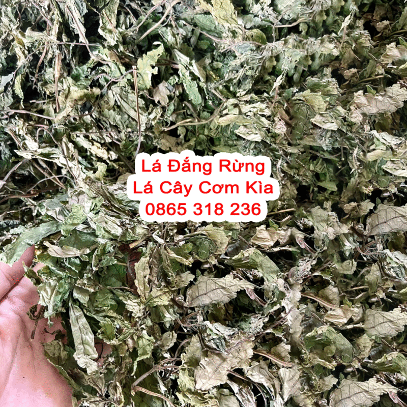 Nhân Sâm Mỹ Baumann Dạng Thái Lát 100 Gram - Ảnh 3