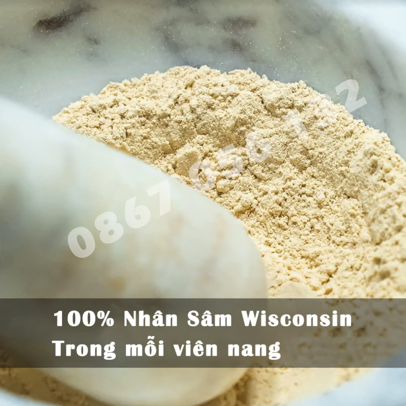 Sâm Viên Baumann Wisconsin Hộp 60 Viên - Ảnh 4